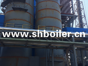 主图；BIOMASS-GAS-BOILER.jpg