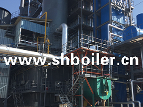 主图；BIOMASS-GAS-BOILER.jpg